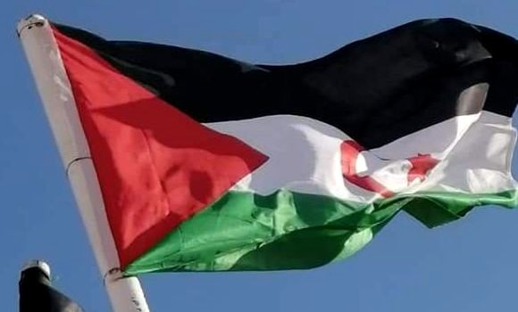 aarasd apoyo solidarida sahara occidental BANDERA SAHARAUI