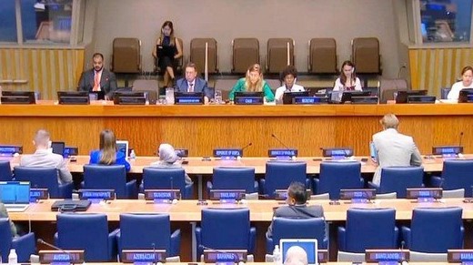 اللجنة الرابعة لتصفية الاستعمار اللجنة الرابعة لتصفية الاستعمار