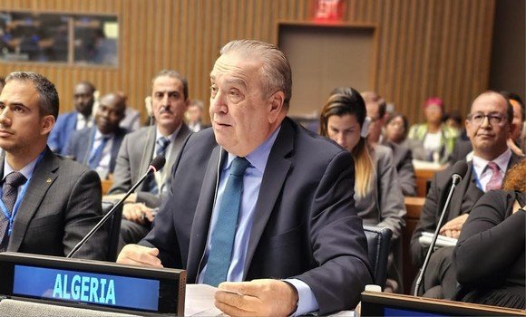 الجزائر - الأمم المتحدة الجزائر - الأمم المتحدة