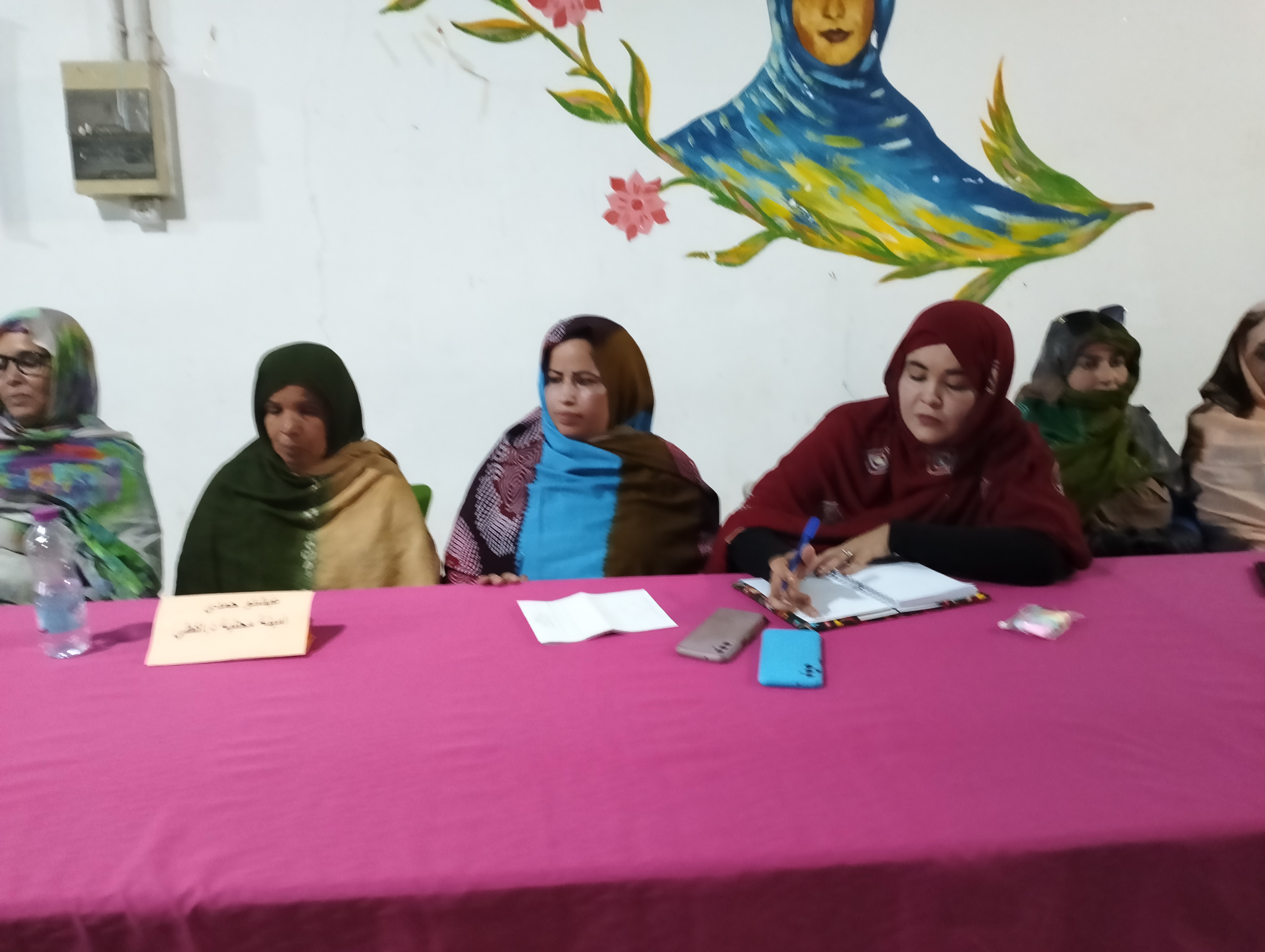 الاتحاد الوطني للمرأة الصحراوية الاتحاد الوطني للمرأة الصحراوية
