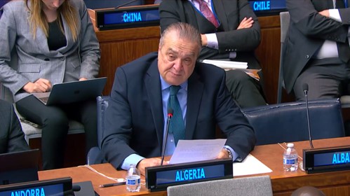 Представитель Алжира Бенжама Представитель Алжира Бенжама