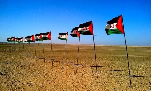 لجنة التضامن لجنة التضامن