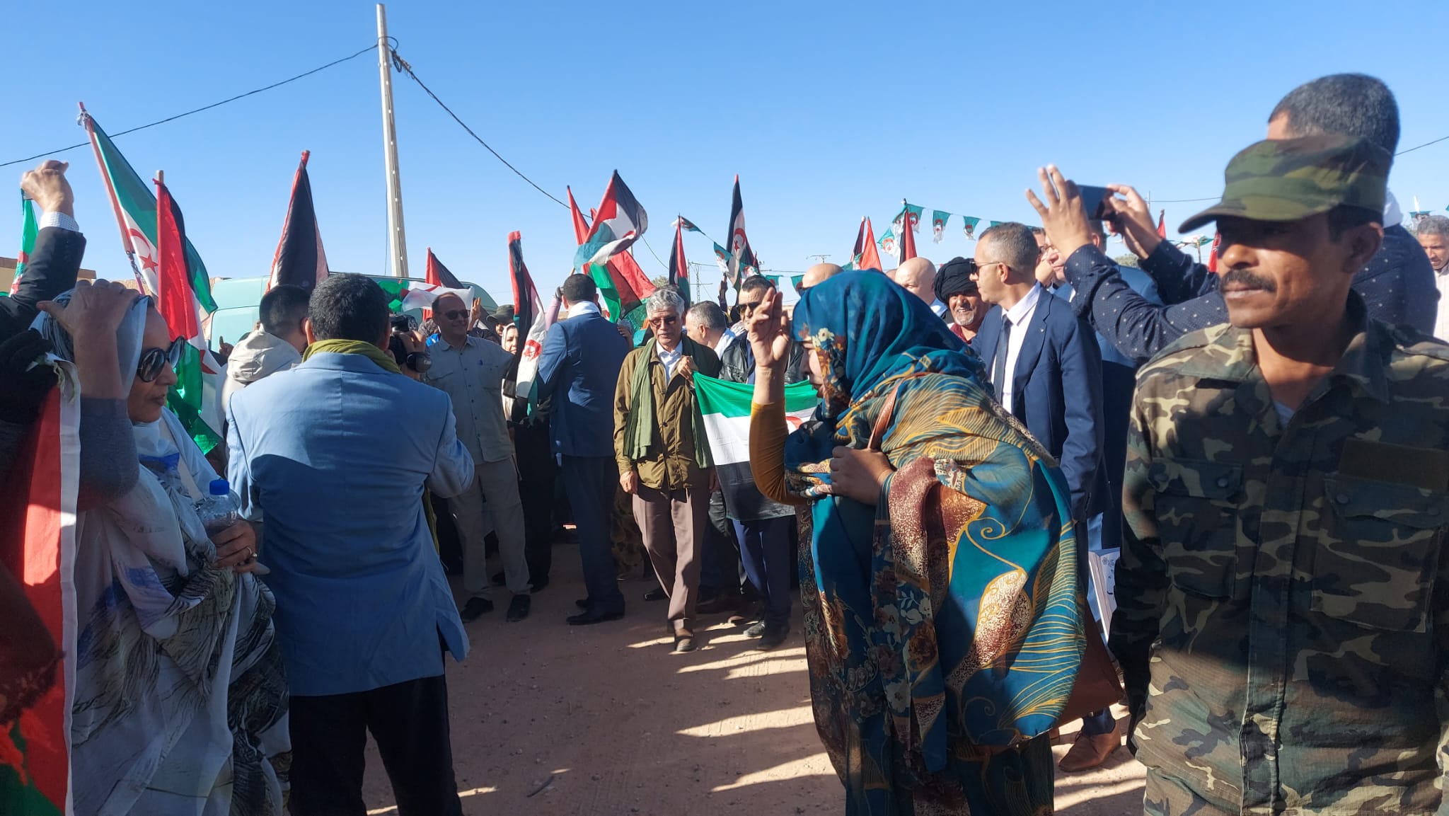الجزائر الجزائر