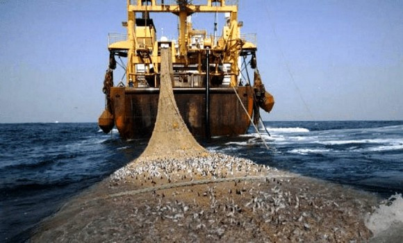 ressources naturelles sahraouies ressources naturelles sahraouies