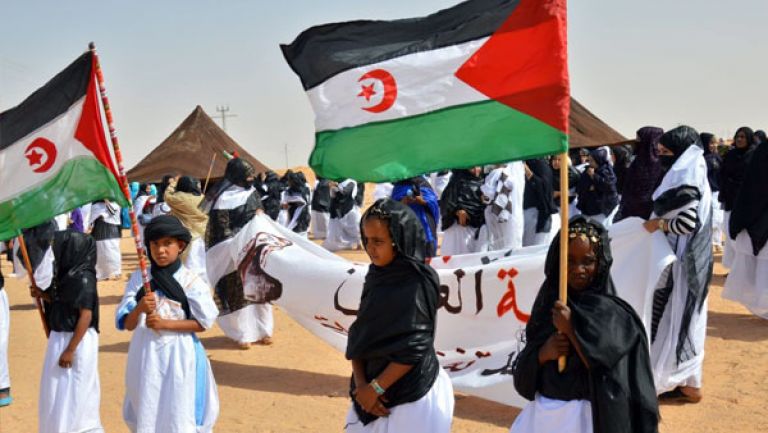 polisario anniversary polisario anniversary