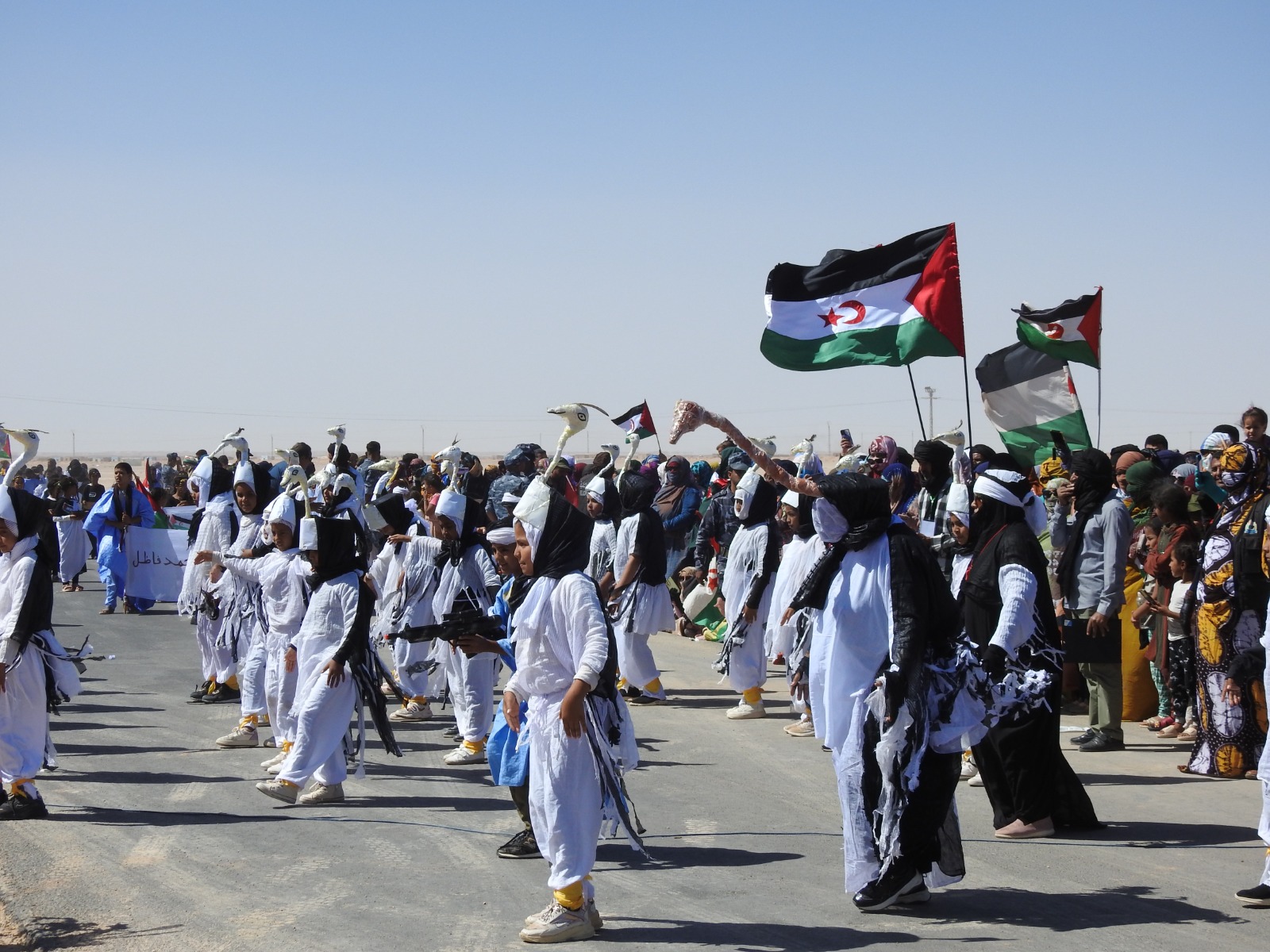 العيون