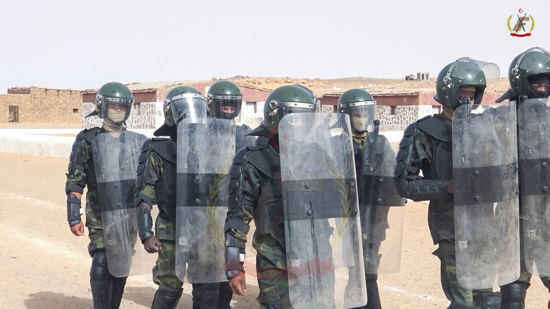 الدفعة
