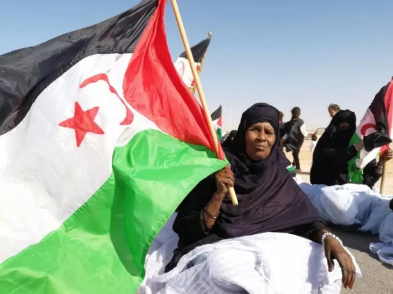 منظمات الاسرة الثورية منظمات الاسرة الثورية