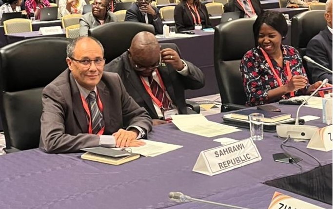 Conferencia Internacional de Tokio sobre el Desarrollo de África (TICAD) (TICAD)