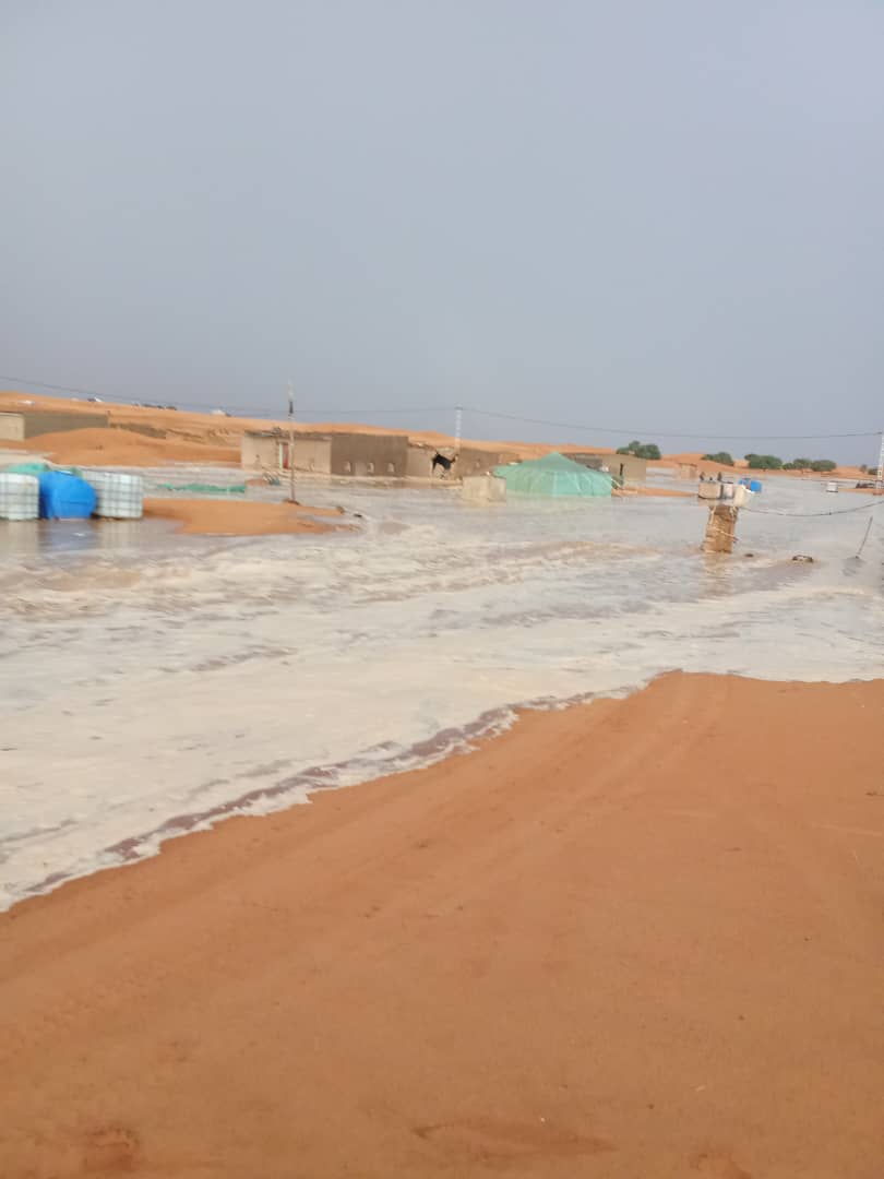 الداخلة
