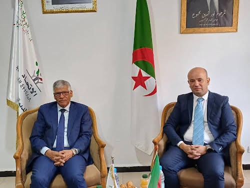 سعيد سعيد