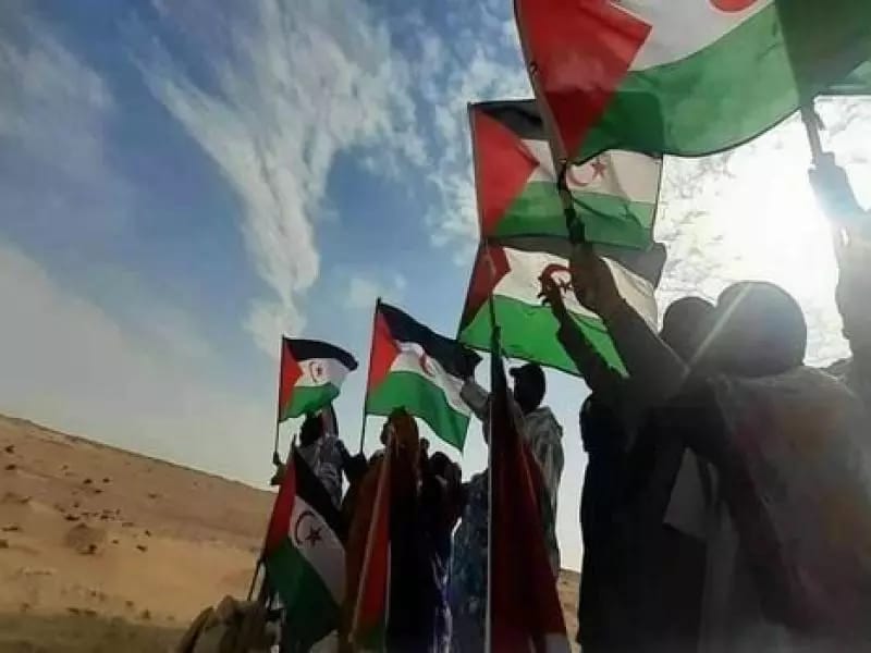 الشعب الصحراوي