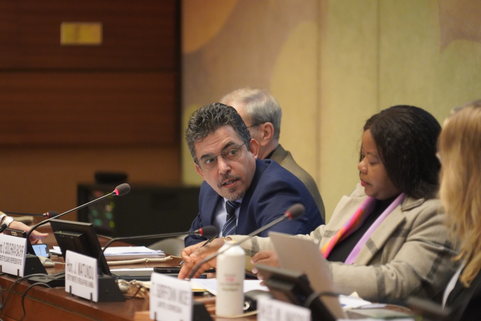 El representante del Frente POLISARIO ante el organismo internacional, Oubbi Bachir,