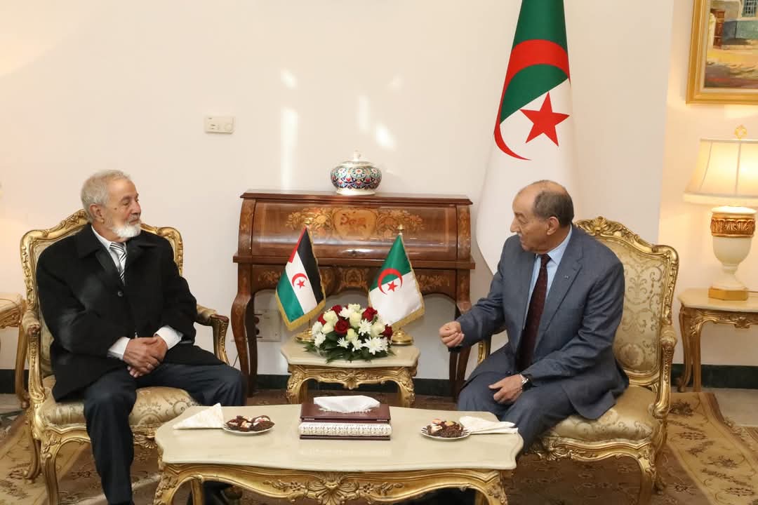 المجلس الدستوري