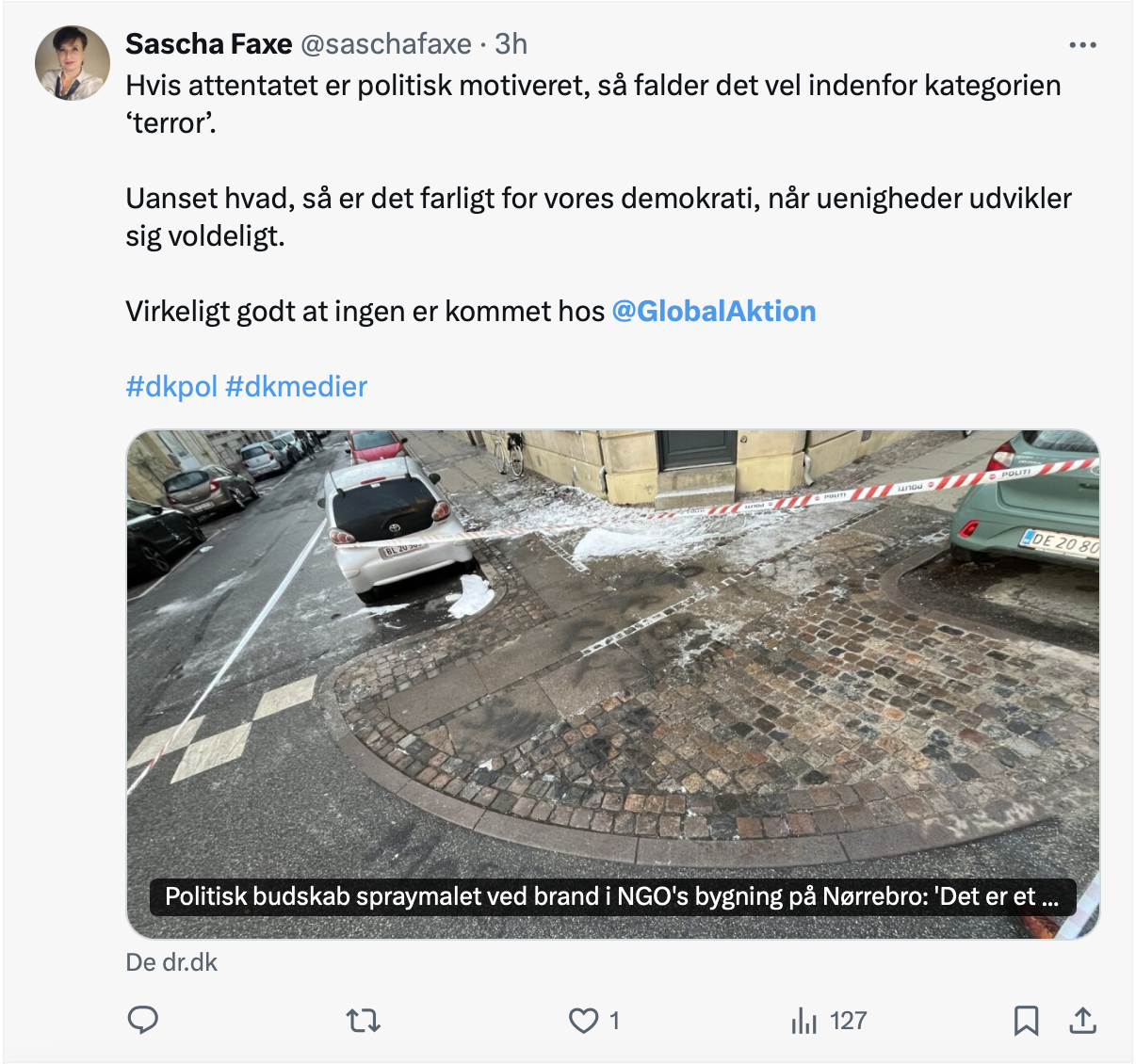 Sascha Faxe, diputada danesa