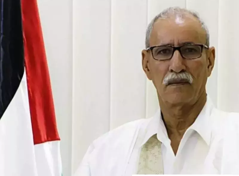 سعيد سعيد