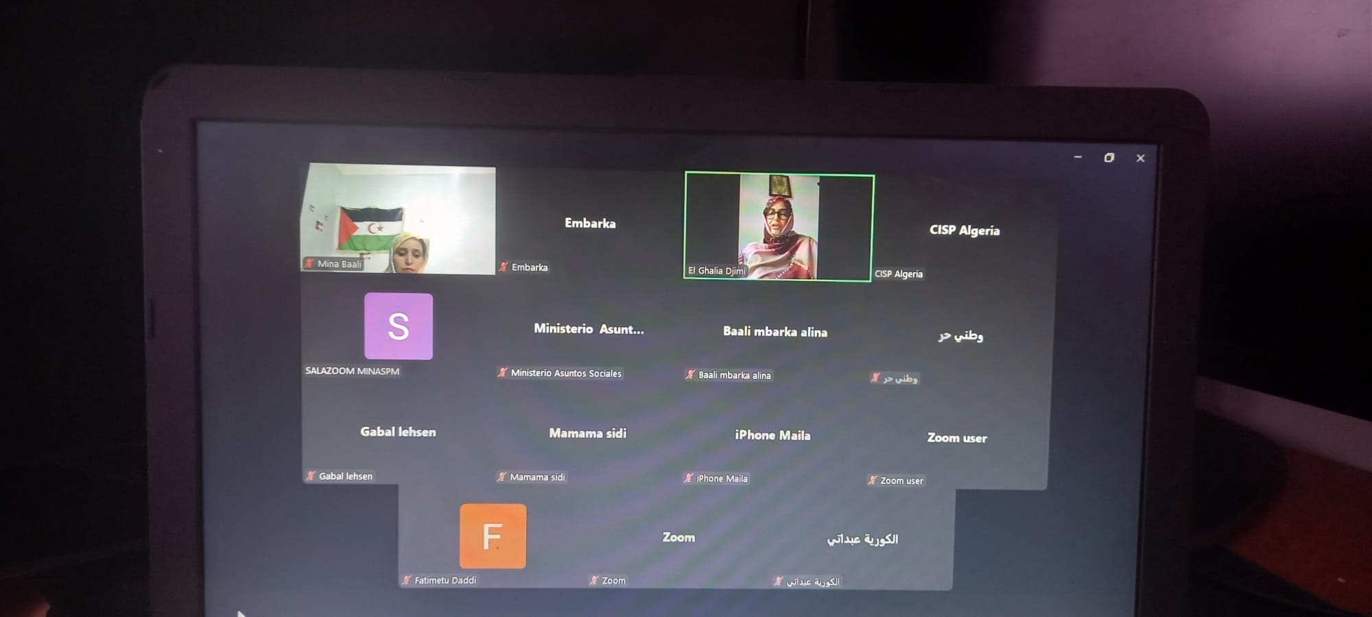 الشؤون الاجتماعية وترقية المرأة