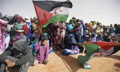 الشعب الصحراوي