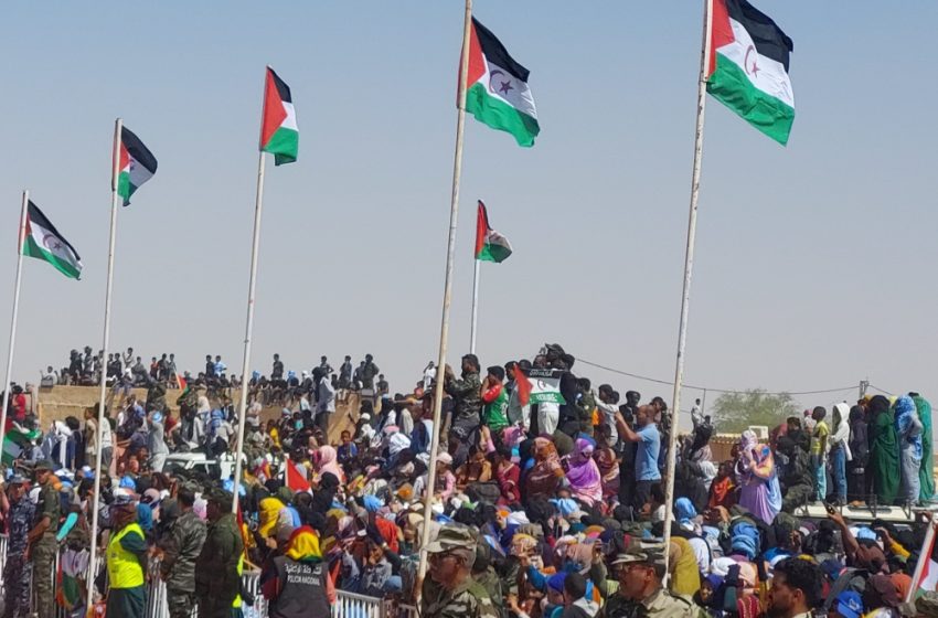 الشعب الصحراوي