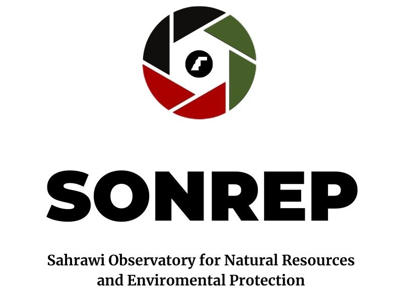 sonrep