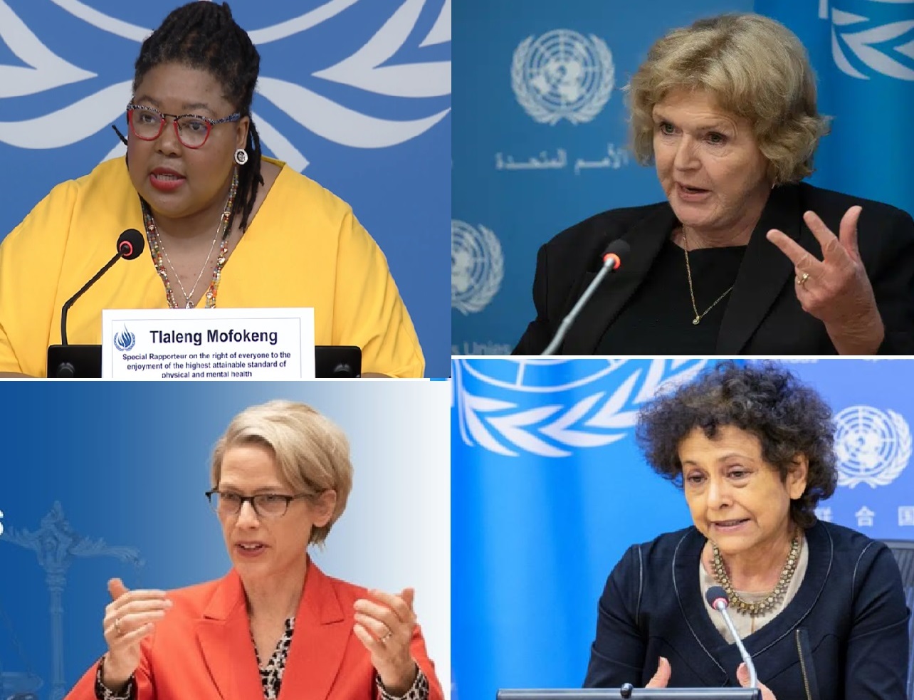 4 UN HR rapporteurs