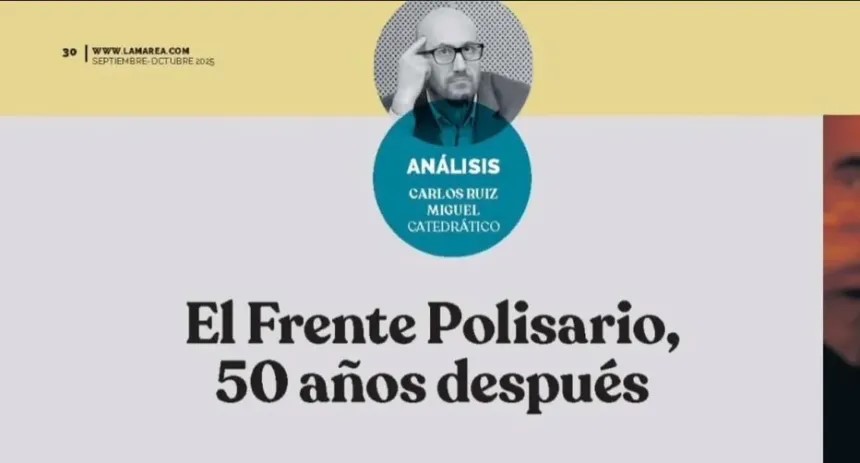 Carlos Ruiz Miguel, Catedrático