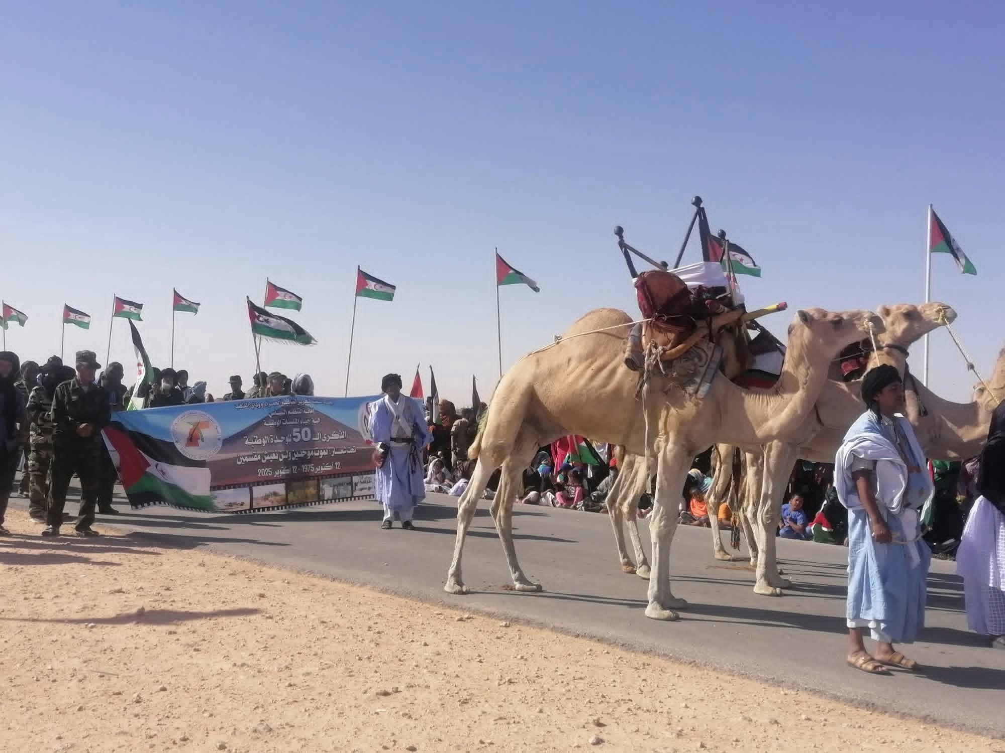 العيون