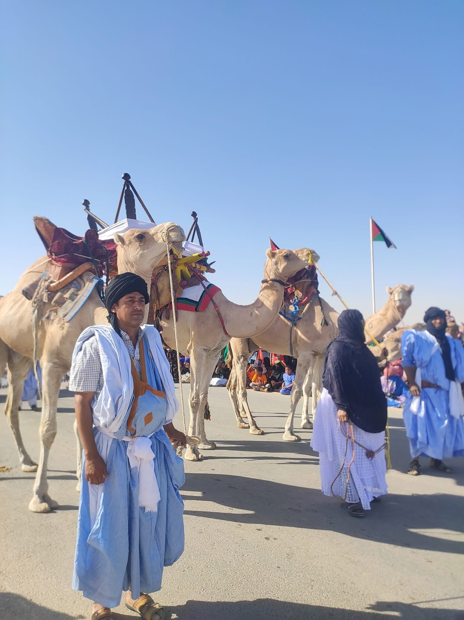 العيون