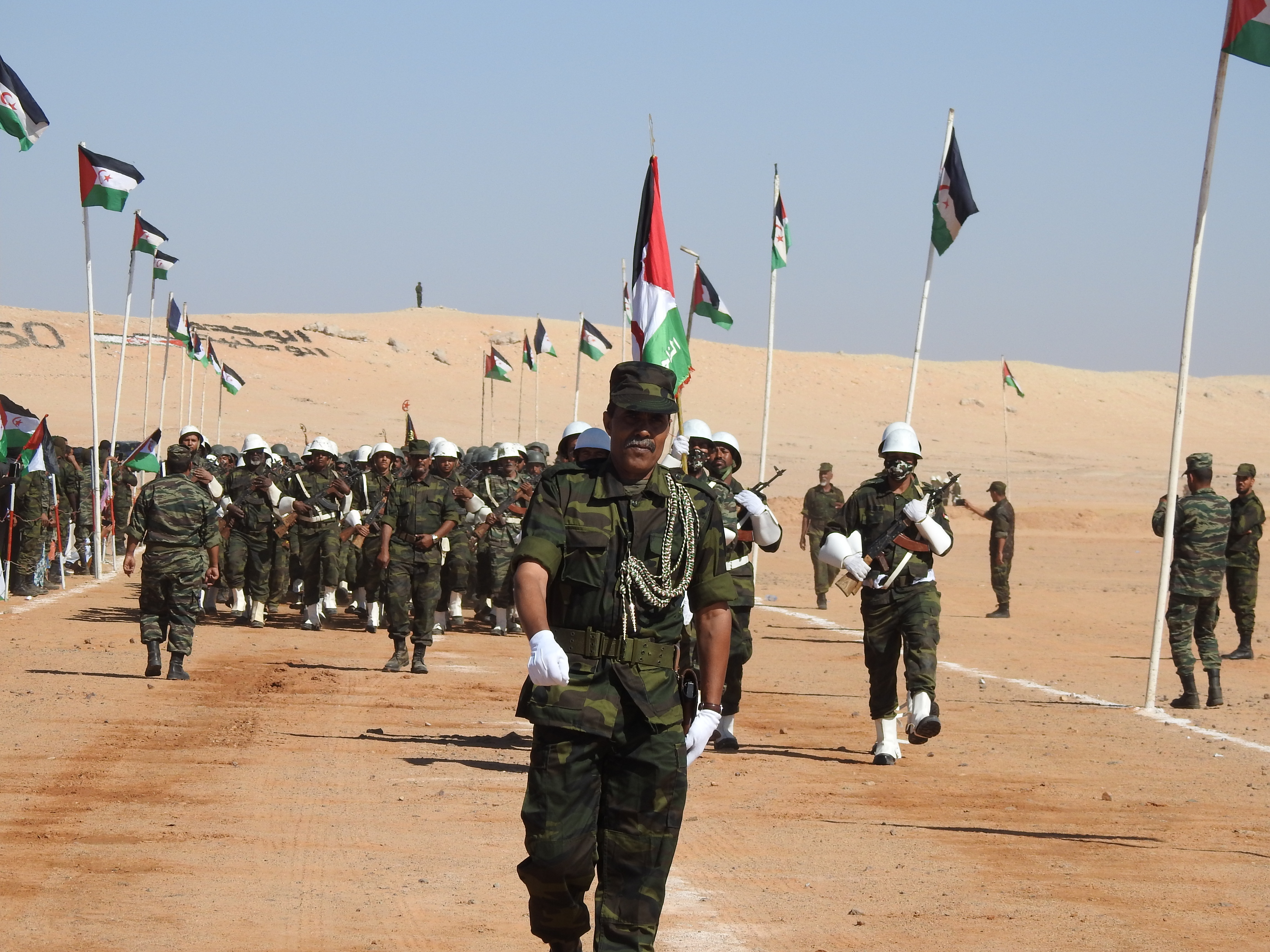 r05.jpg مو
