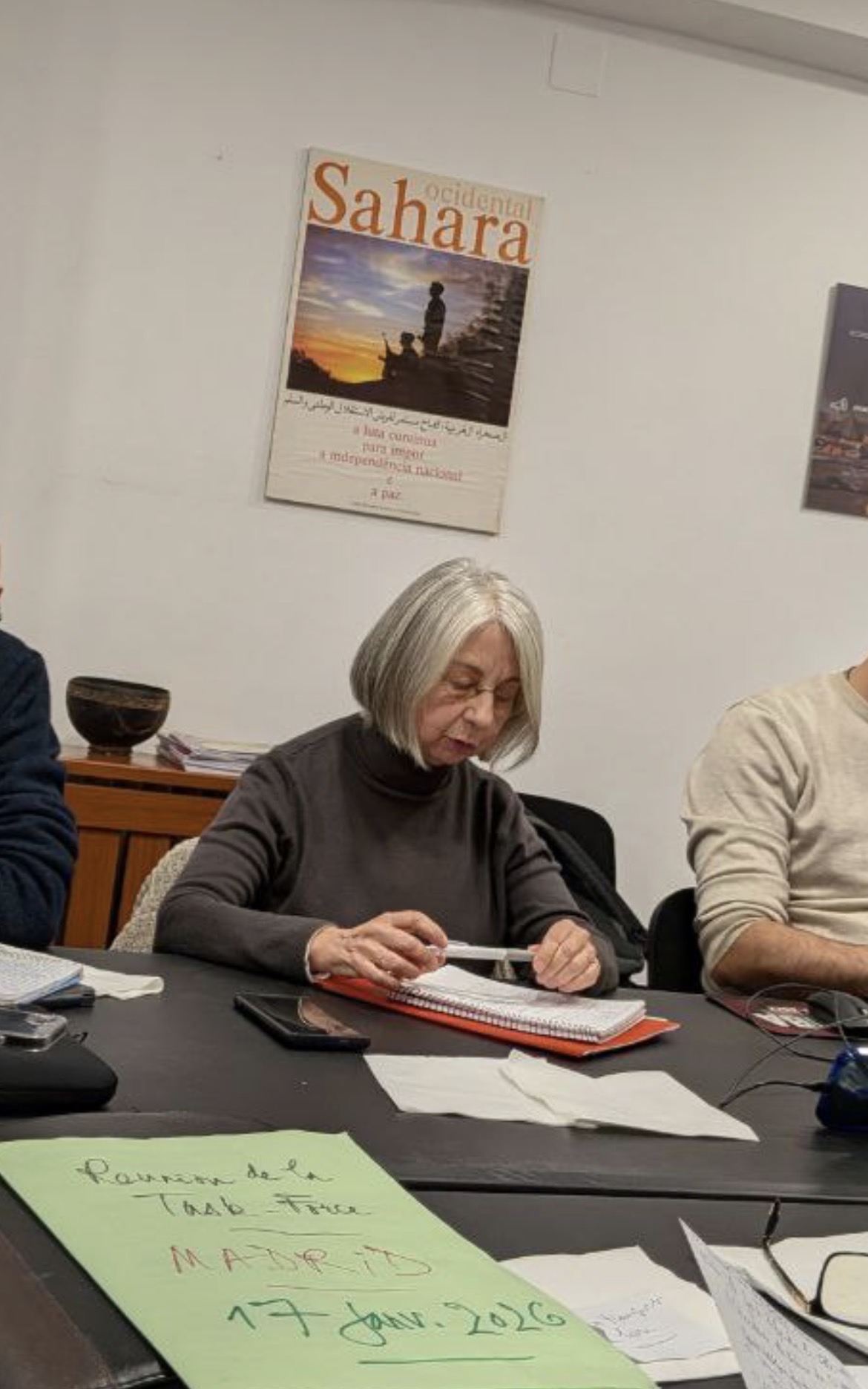 Luisa Teotónio Pereira