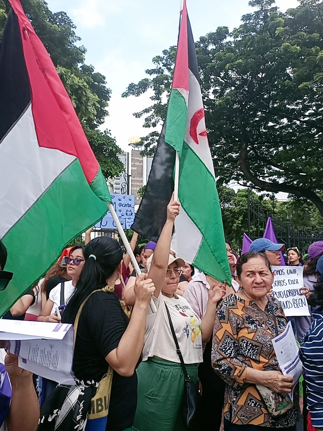 8M en América Latina convoca a solidarias con la causa saharaui 8M en América Latina convoca a solidarias con la causa saharaui