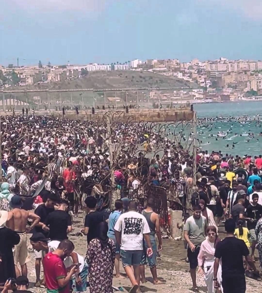 crowds1