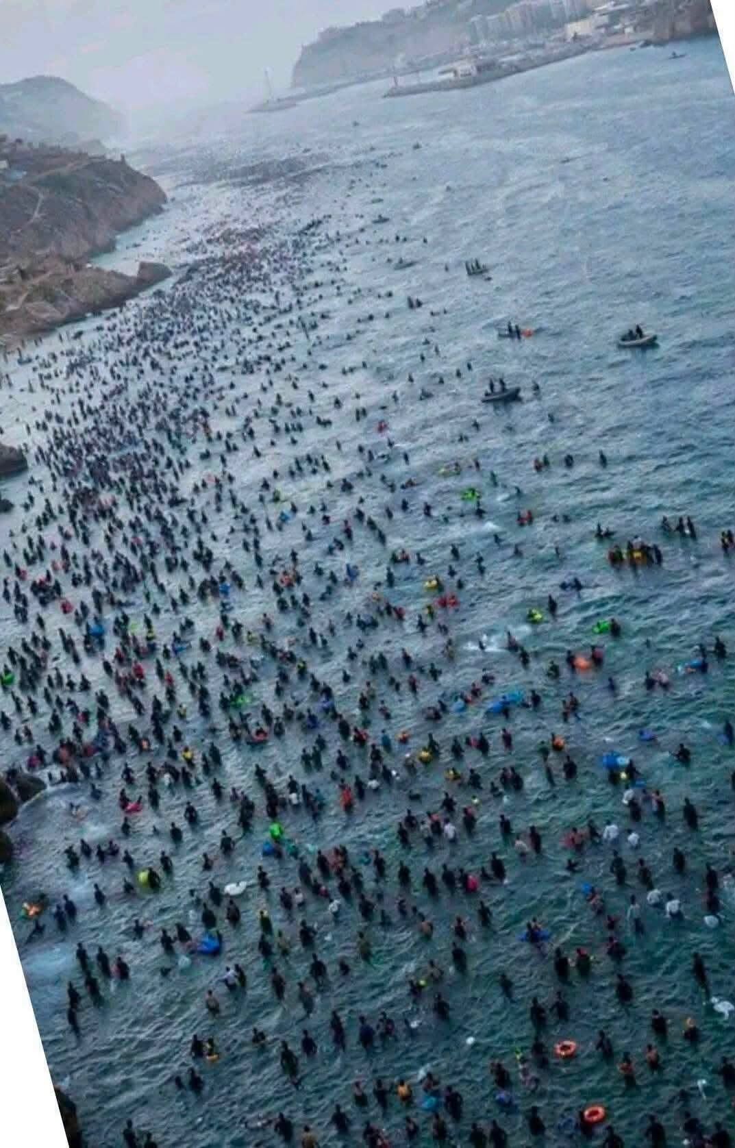 migranst swiming