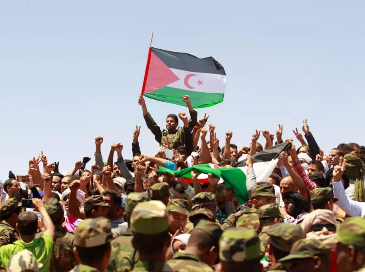 الولي