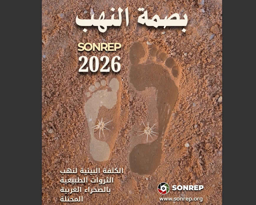 footprintplunder