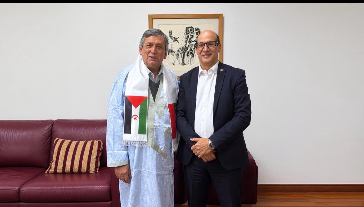 التشيلي