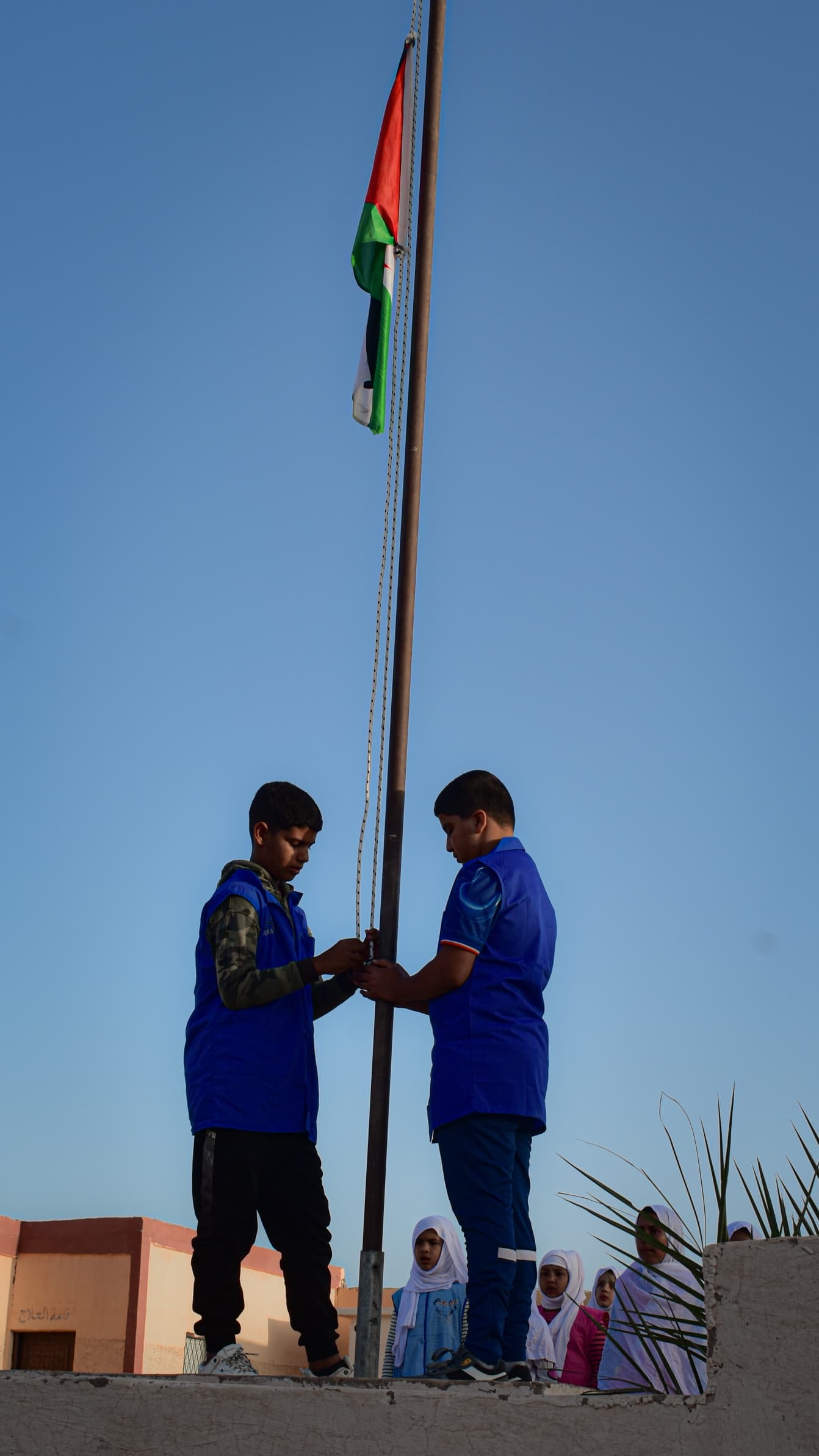 التربية والتعليم