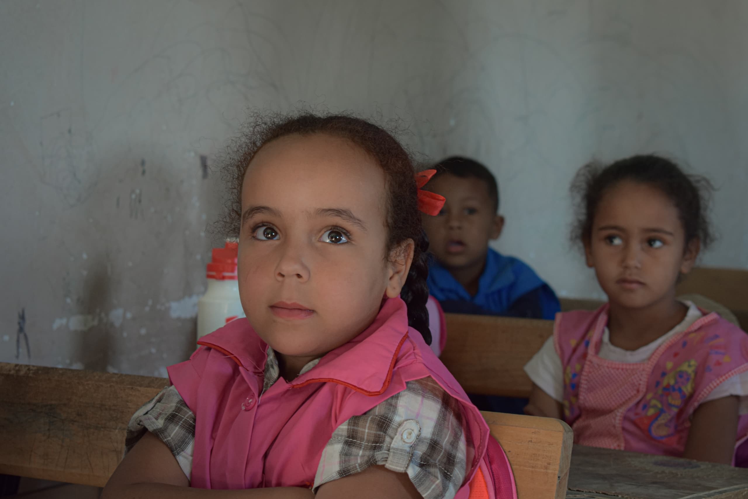 التربية والتعليم