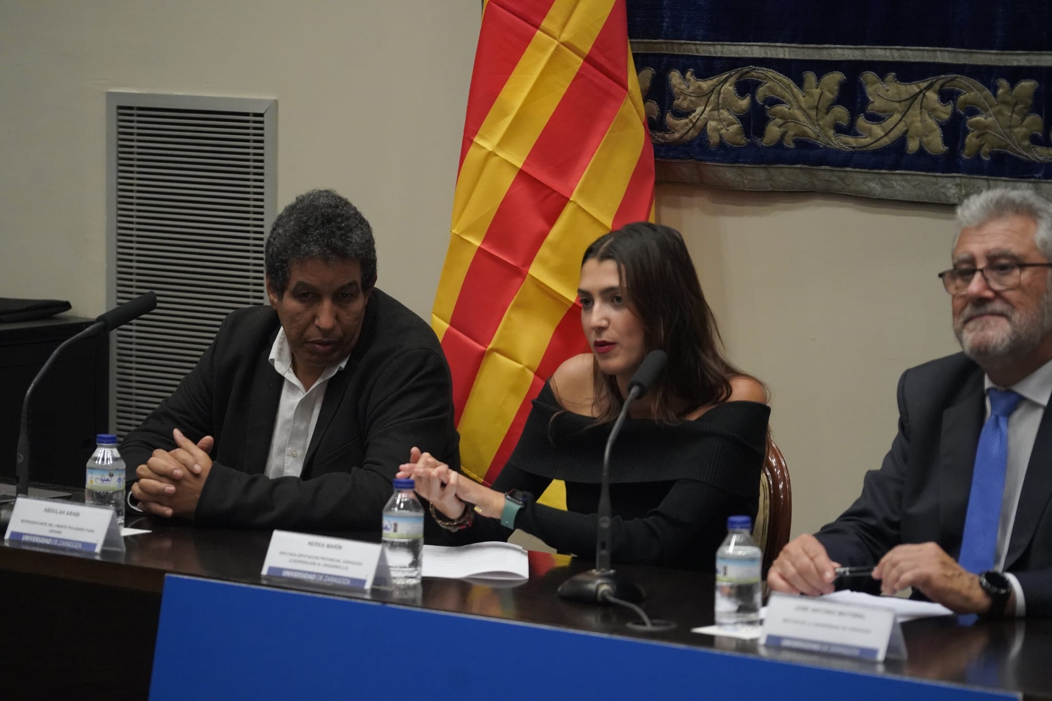 Nerea Marín, diputada en la Diputación Provincial de Zaragoza