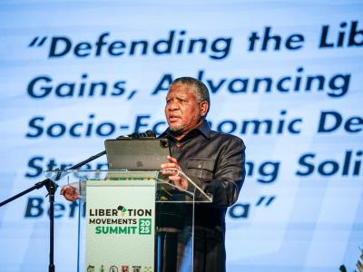 mbalula fikile
