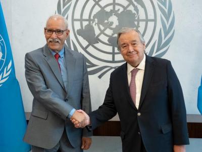 الأمم المتحدة 