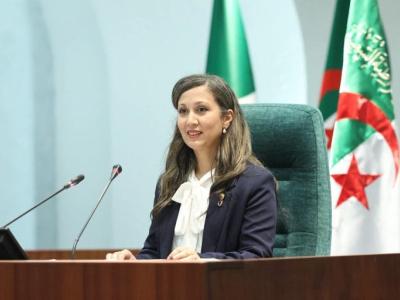 المجلس الوطني 