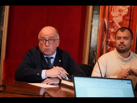 Preview image for the video "Diputado del Partido Popular (PP), Carmelo Barrio".