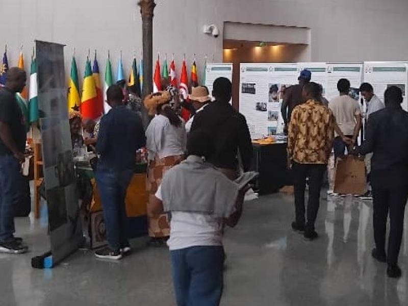 Africa day 25