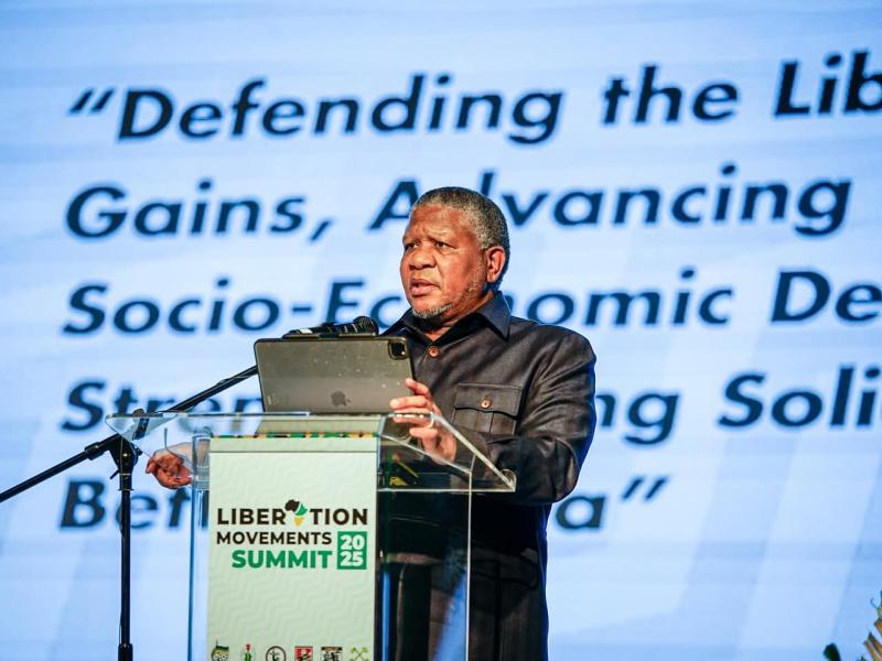 mbalula fikile