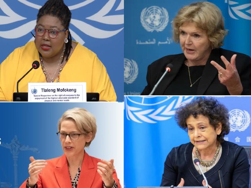 4 UN  HR rapporteurs