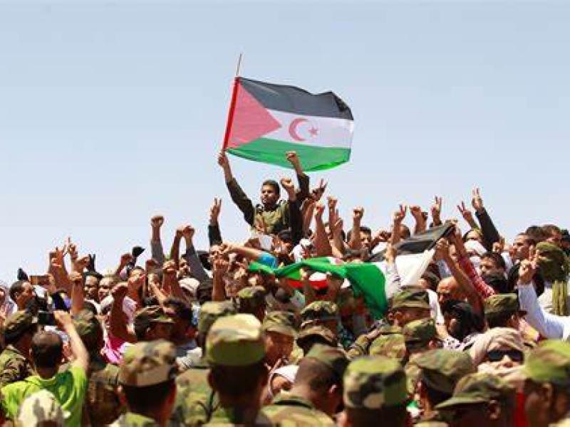 البوليساريو 