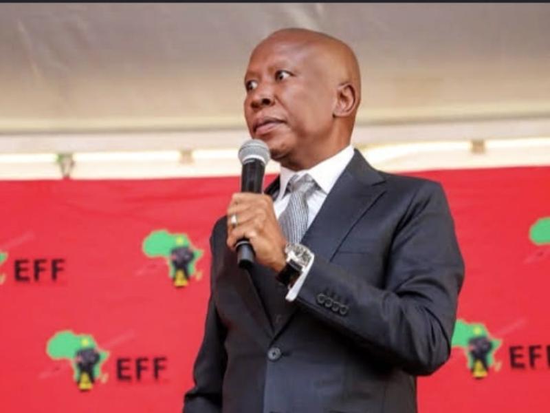 Julius Malema 26