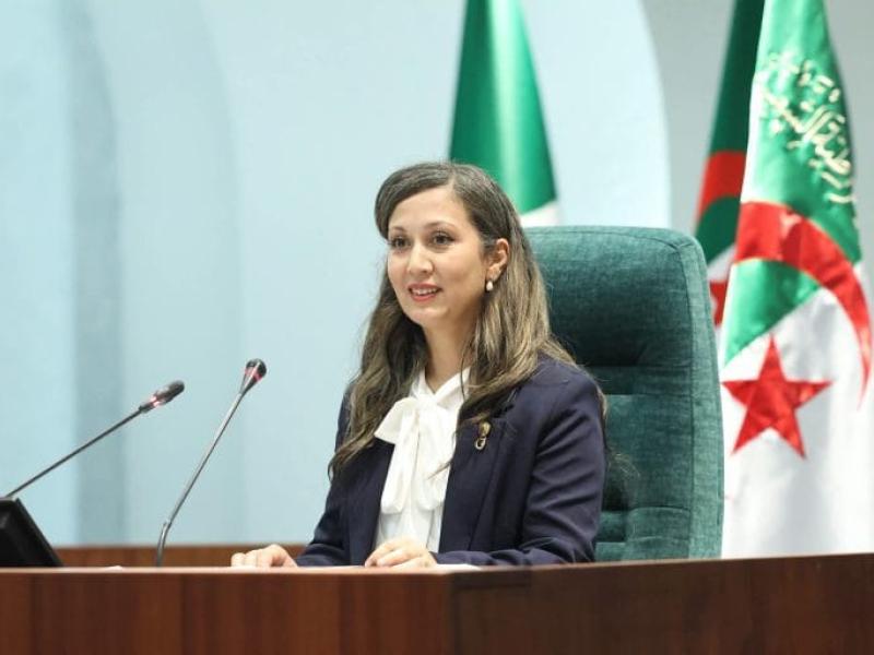 المجلس الوطني 