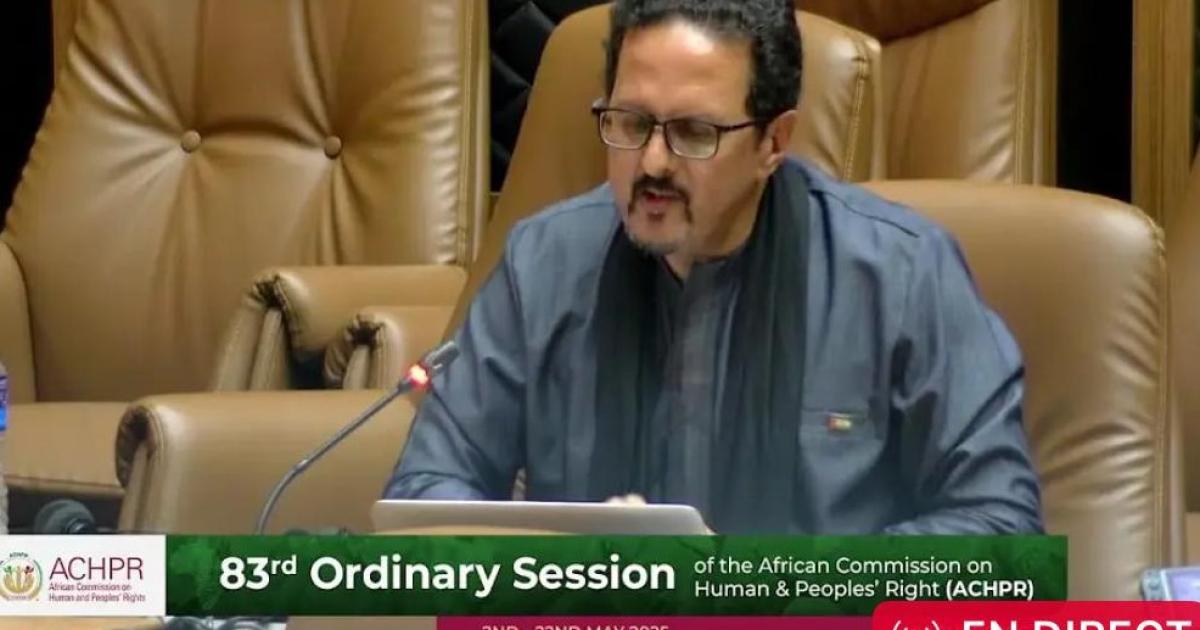 The Sahrawi Republic calls on the ACHPR to investigate torture and abuse against Sahrawi civilians and activists